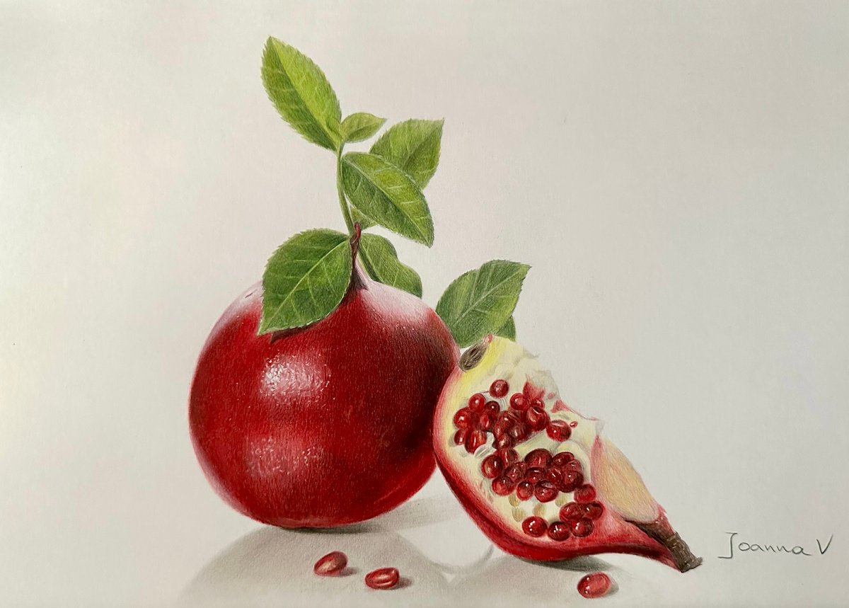 Photorealistic Still Life Pencil Drawing By Ioanna Ladopoulou, 12 X 8, Pomegranate, Original Artwork