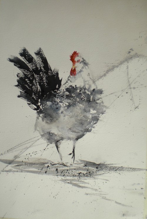 rooster 8 by Giorgio Gosti