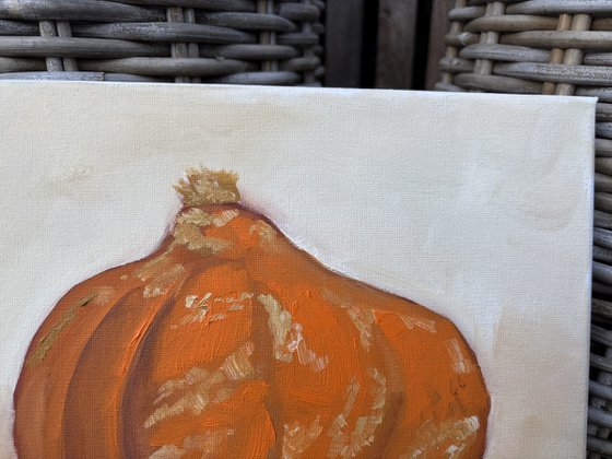A small pumpkin. still life