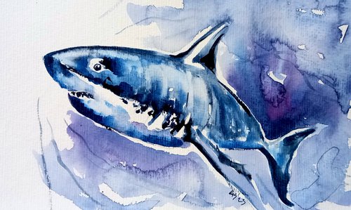 Shark by Kovács Anna Brigitta
