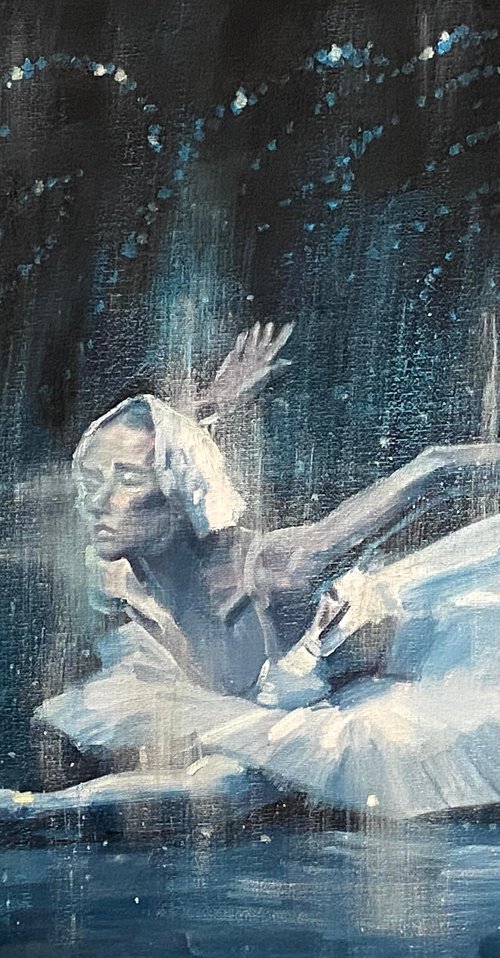 Fantastic Swan Lake Ballet No.03 by Paul Cheng