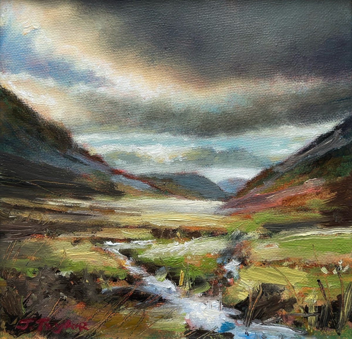 Golden Bracken, Glencoe by Jennifer Taylor