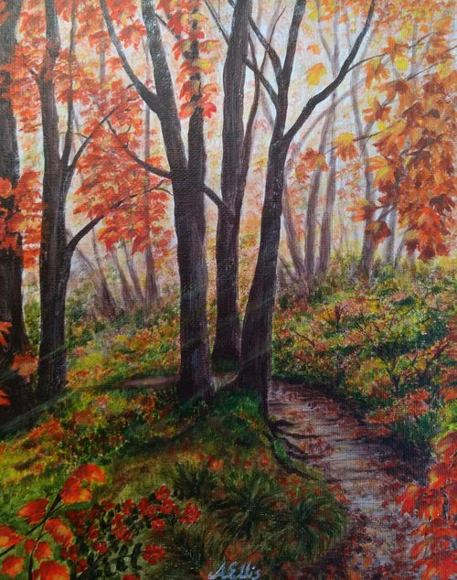 Autumnal Woodland by Anne-Marie Ellis