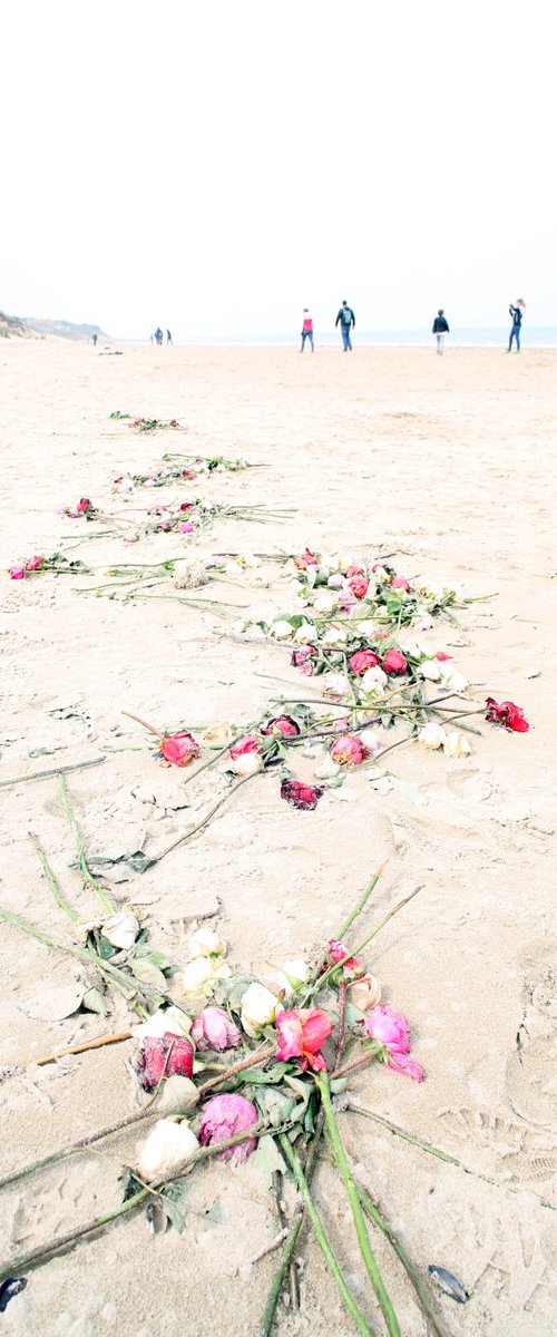 Utah Beach by Elisabeth Blanchet Burgot