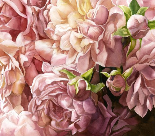 Romantic roses watercolor by Alfred  Ng