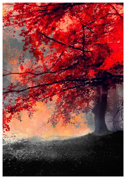The Red Tree II by Neil Hemsley