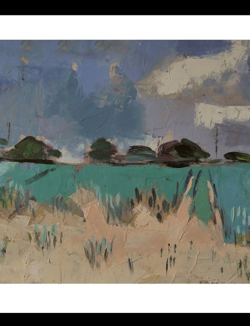 Sandy Field by Andre Pallat