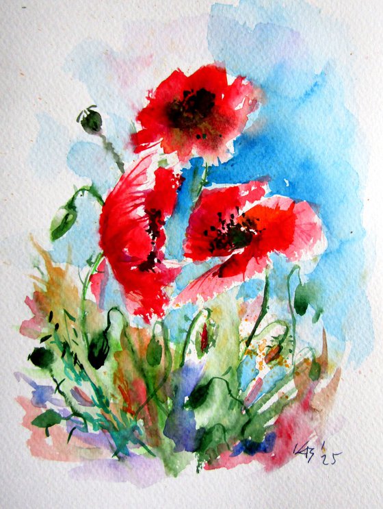 Red poppies II