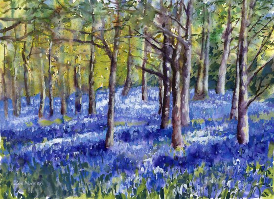 Bluebell Impression