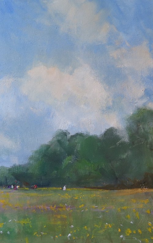 Midsummer Meadow by Malcolm Ludvigsen