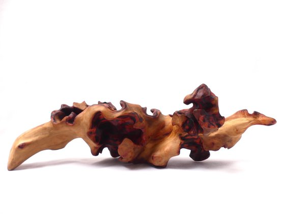 Emerging Phoenix - Abstract Wood Sculpture