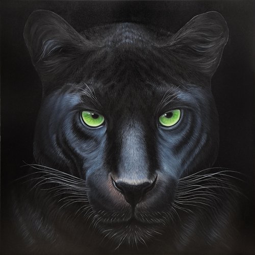 Portrait of black panther by Anna Steshenko