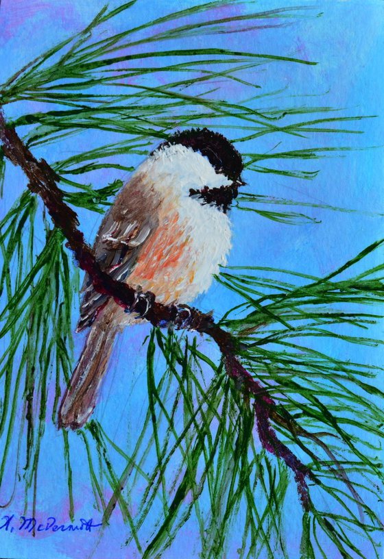 Sky Blue Pink Chickadee - framed original 7X5 inch bird painting by K. McDermott (SOLD)