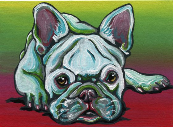 ACEO ATC Original Miniature Painting White French Bulldog Pet Dog Art-Carla Smale