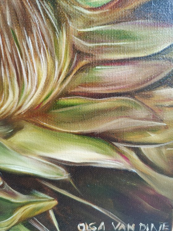 Protea