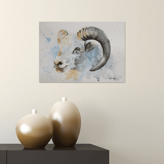 Ram