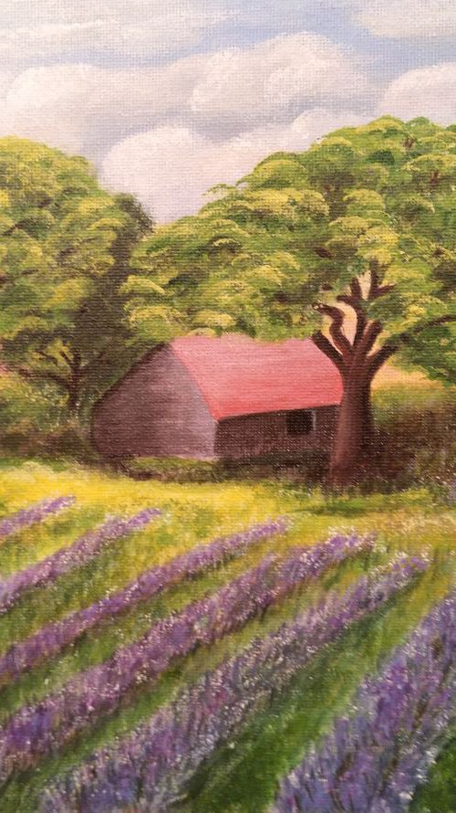 Fields of Lavender by Anne-Marie Ellis