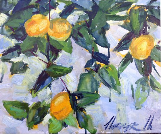 Apricot branch . Summer fruits original oil painting modern