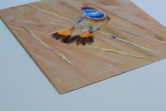 Bluethroat on a reed