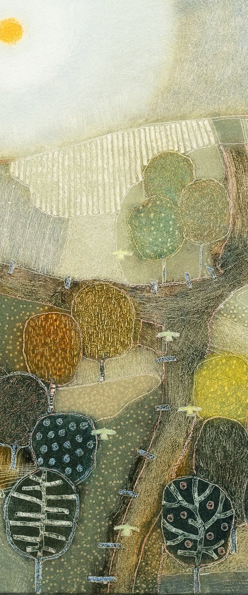 Went walking through the trees. by Rob   van Hoek