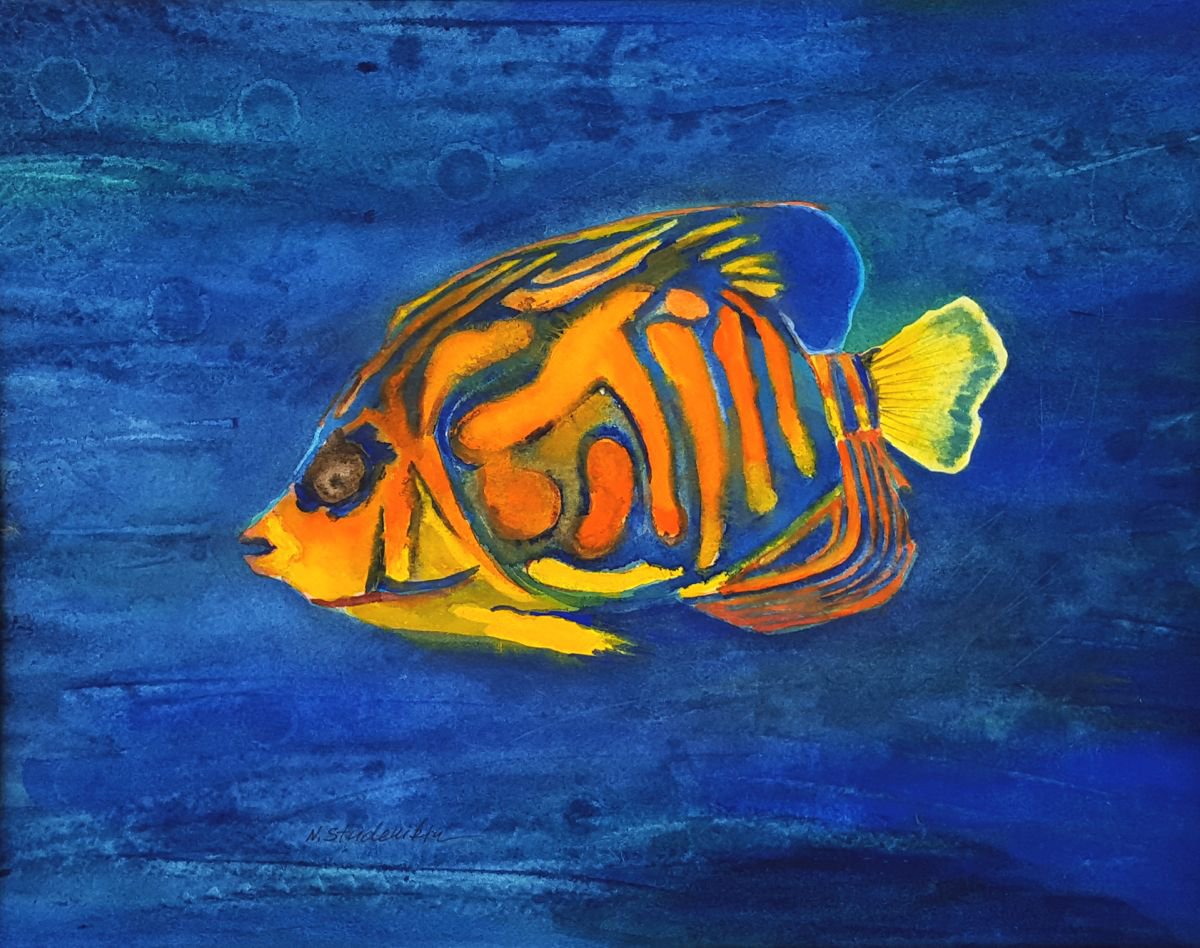 Angelfish Watercolour by Nataliya Studenikin | Artfinder