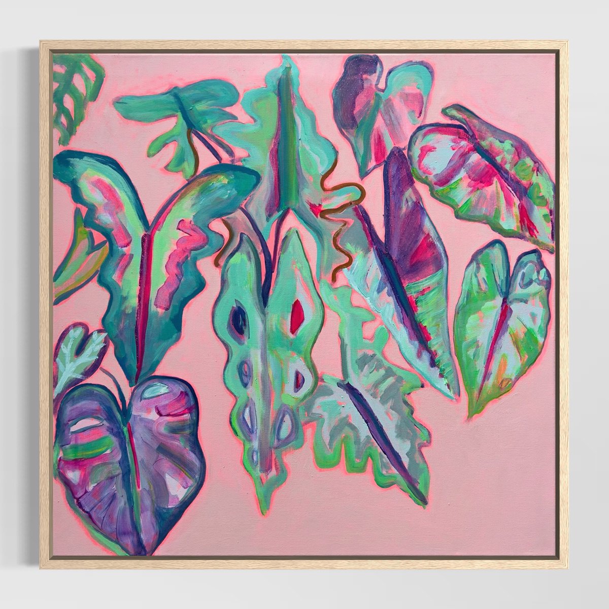 Alocasia Study Iii By Kathryn Sillince, 33 X 33, Artwork For Sale On Artfinder