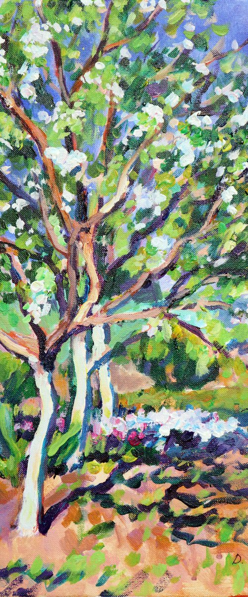 Blooming apple trees (Plein air) by Dima Braga