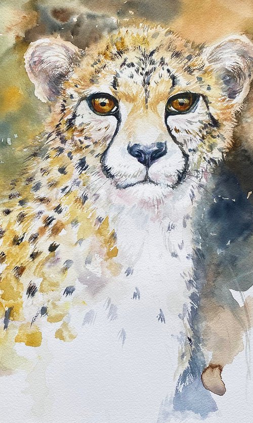 Young Cheetah Charlie by Arti Chauhan