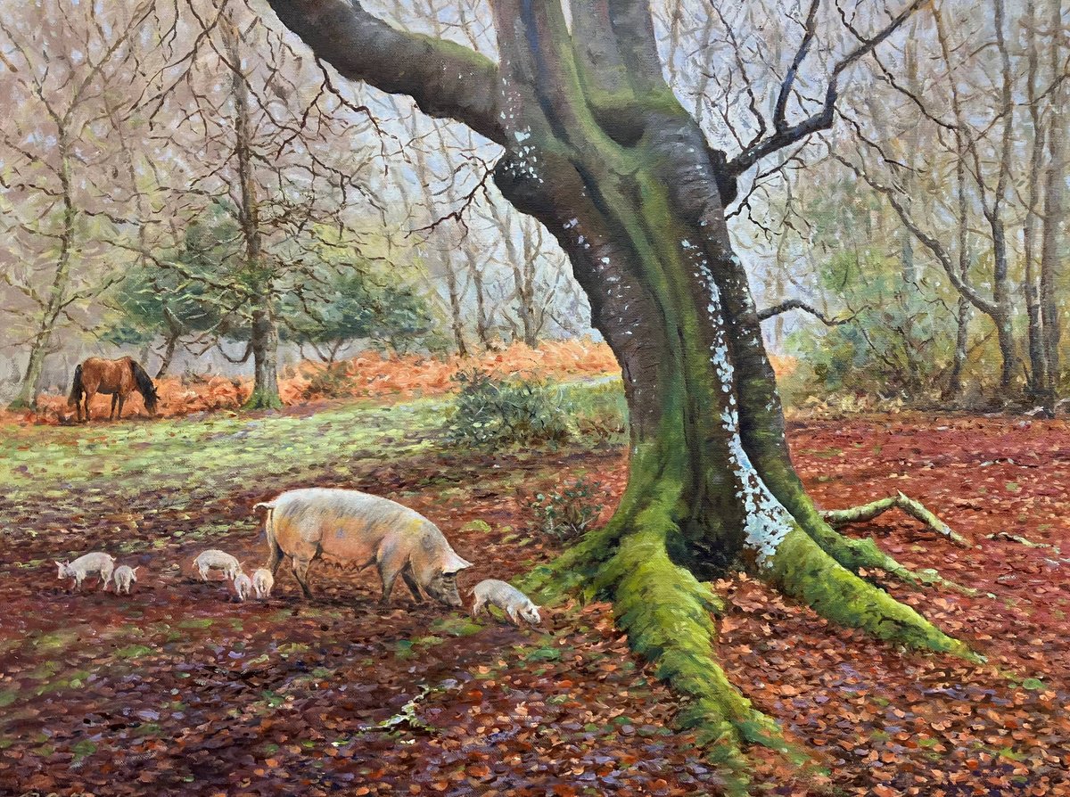 Illustrative Oil Painting , Ridley Wood Beech And Pigs By Peter Frost, 28 X 22, Artwork For Sale On Artfinder
