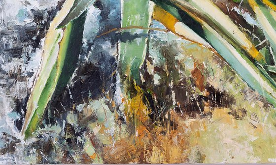 Agave