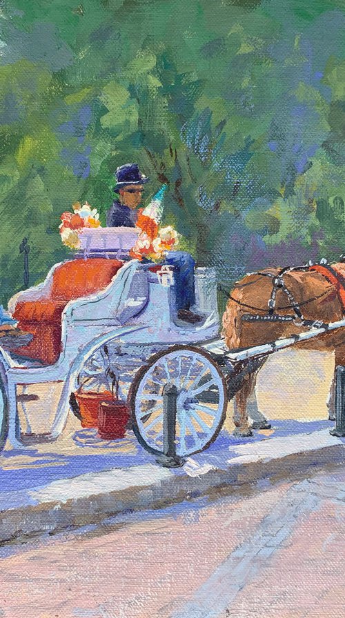 Central Park Ride by Tatyana Fogarty