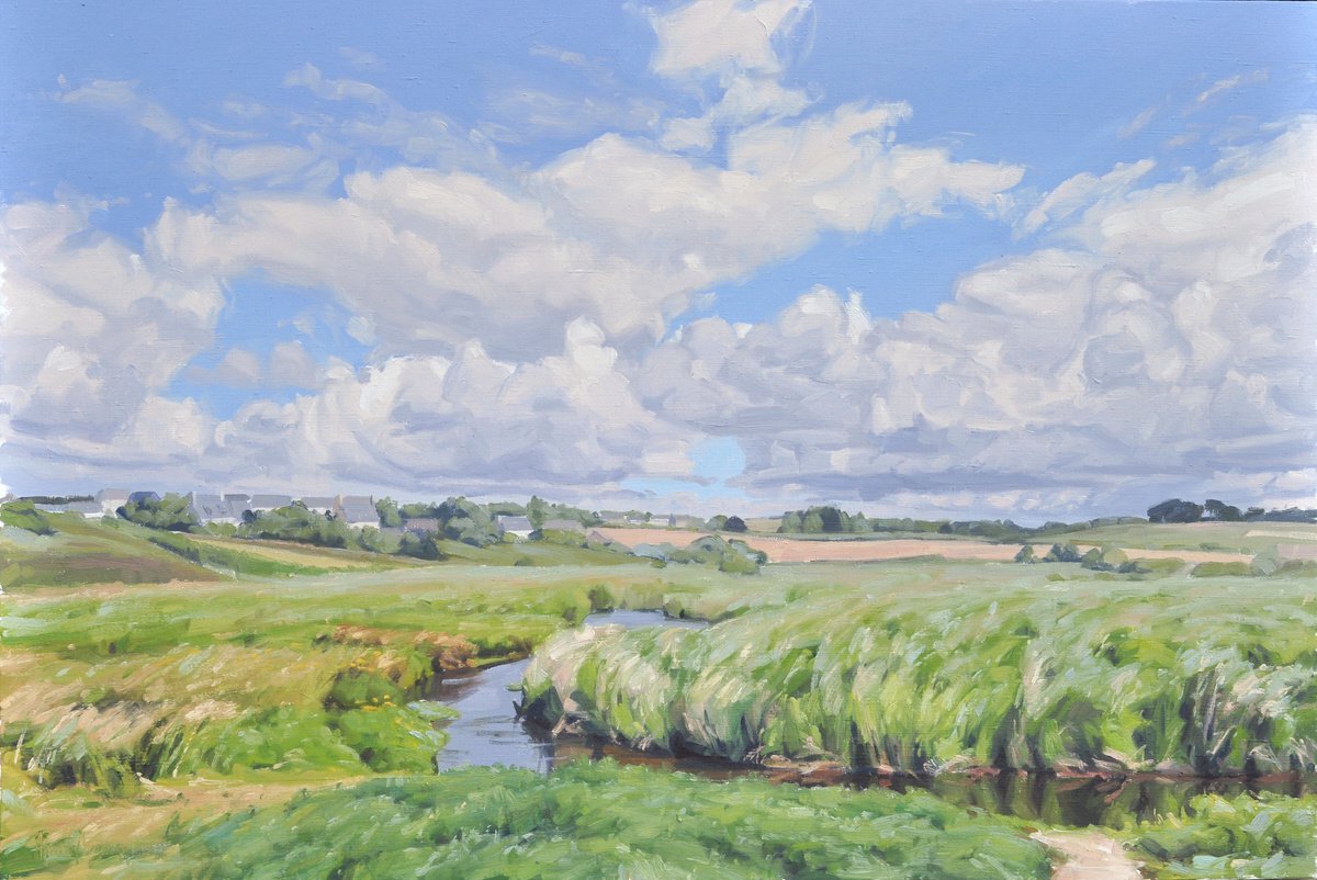 Marshes in Brittany by ANNE BAUDEQUIN