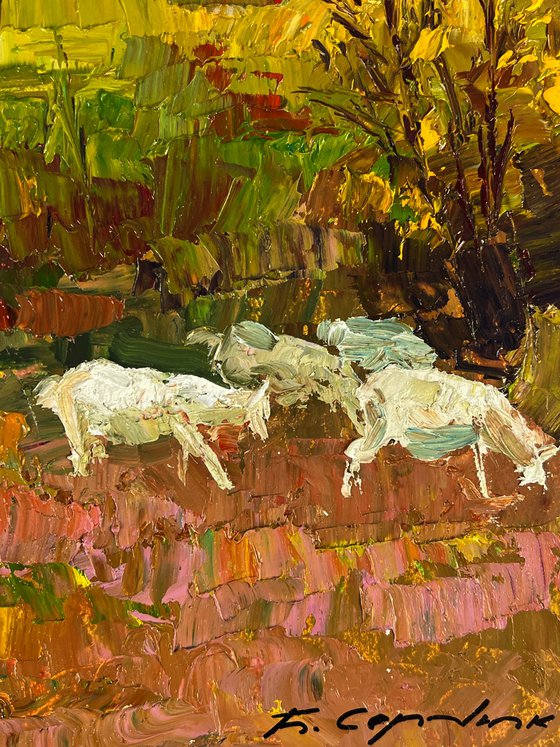 White Goats in the Meadows