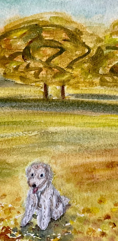 Bobby in the park by Samantha Adams