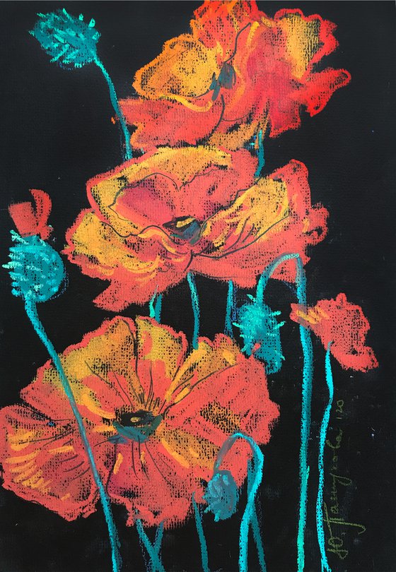 Red poppies