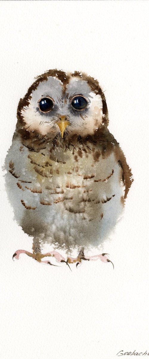 Little owl #2 by Eugenia Gorbacheva