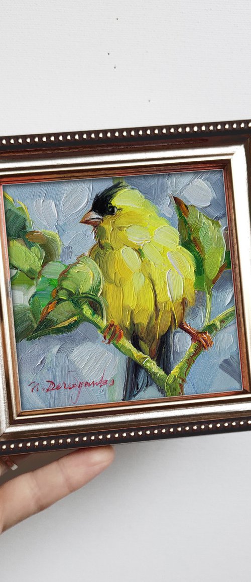 American goldfinch bird by Nataly Derevyanko