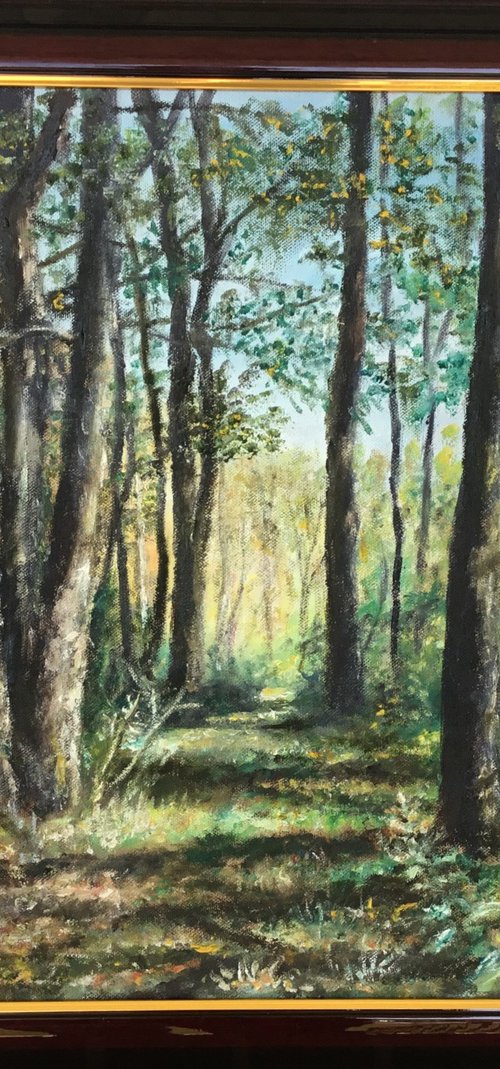 SWAMP DEER TRAIL by Kathleen McDermott