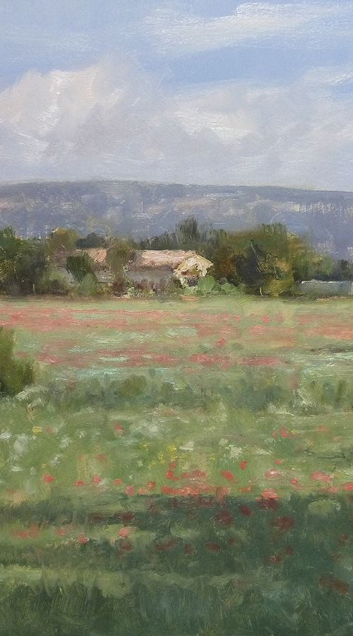 Poppies near Sisteron by Pascal Giroud