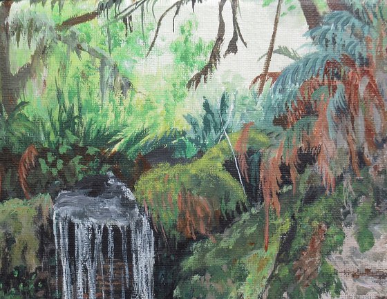 Hidden Waterfall