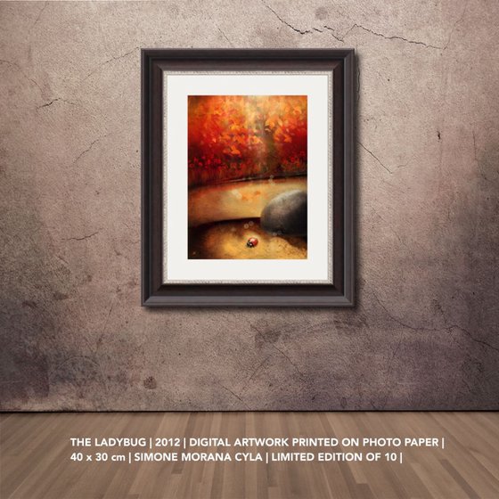 THE LADYBUG | 2012 | DIGITAL ARTWORK PRINTED ON PHOTO PAPER | HIGH QUALITY | LIMITED EDITION OF 10 | SIMONE MORANA CYLA | 30 X 40 CM | PUBLISHED