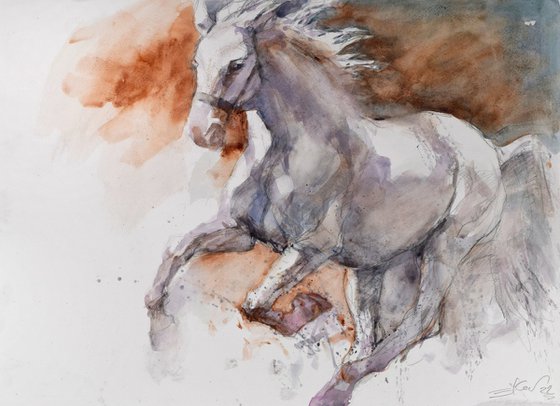 Horse in the run  4 (70x50)