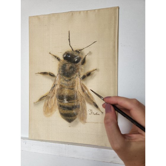 Silky Bee