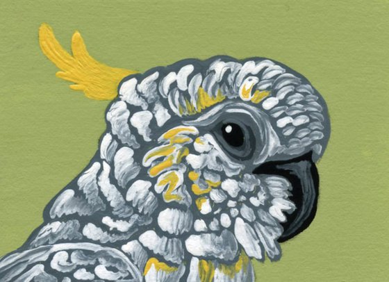 ACEO ATC Original Miniature Painting Yellow Crested Cockatoo Parrot Pet Bird Art-Carla Smale