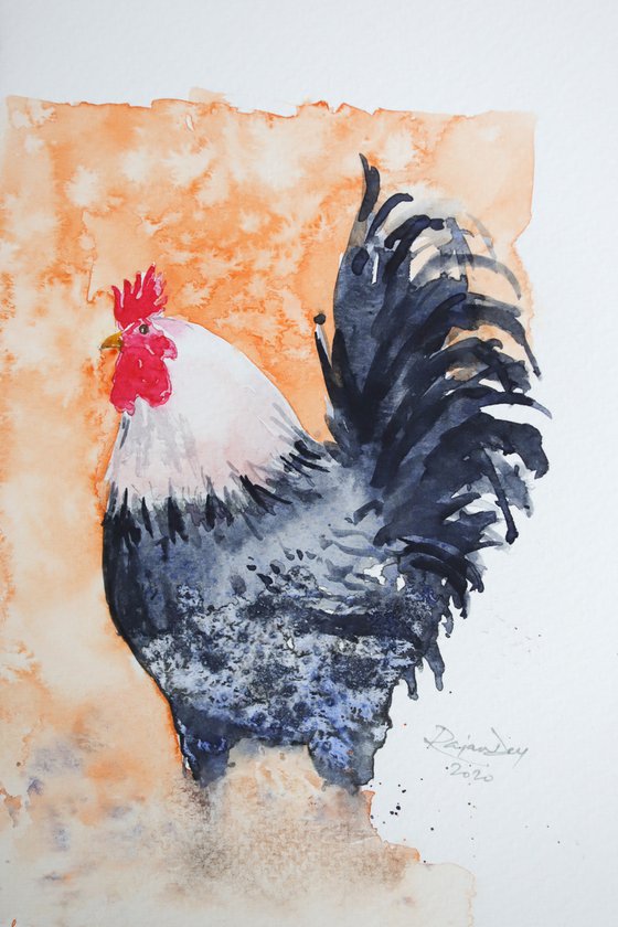 Rooster 03