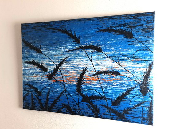 Blue Sunset In The Grass