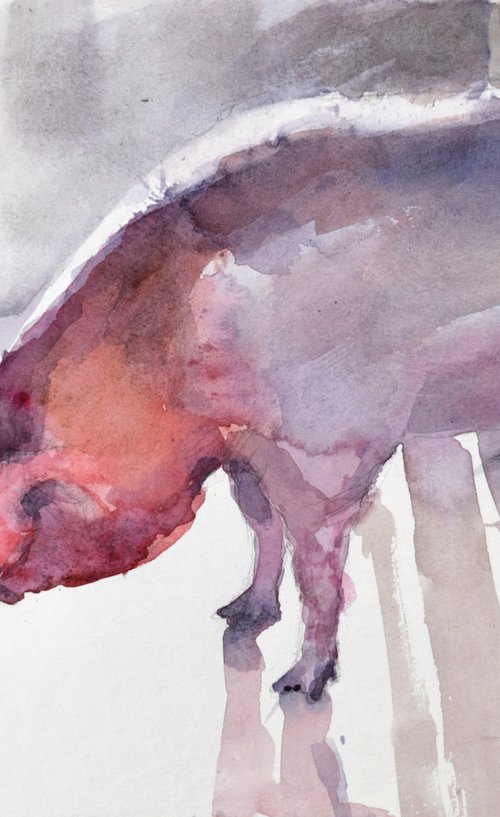 Piggy by Goran Žigolić Watercolors