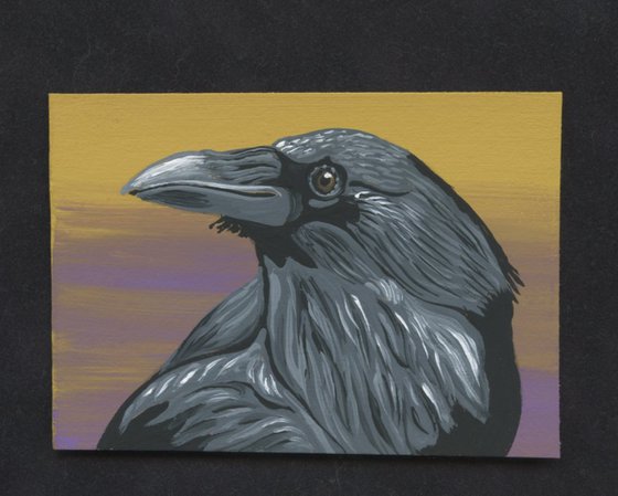 ACEO ATC Original Miniature Painting Crow Raven Bird Wildlife Art-Carla Smale