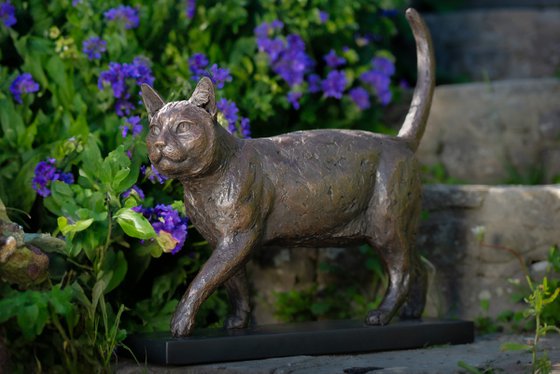Community Cat (BR sculpture)