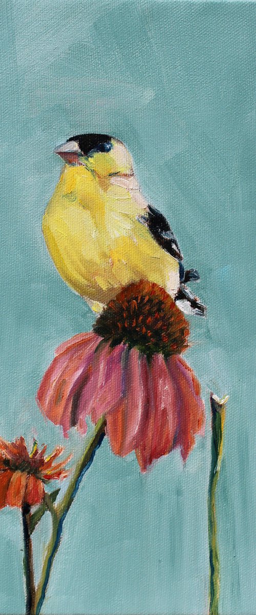 American Goldfinch II by Afekwo